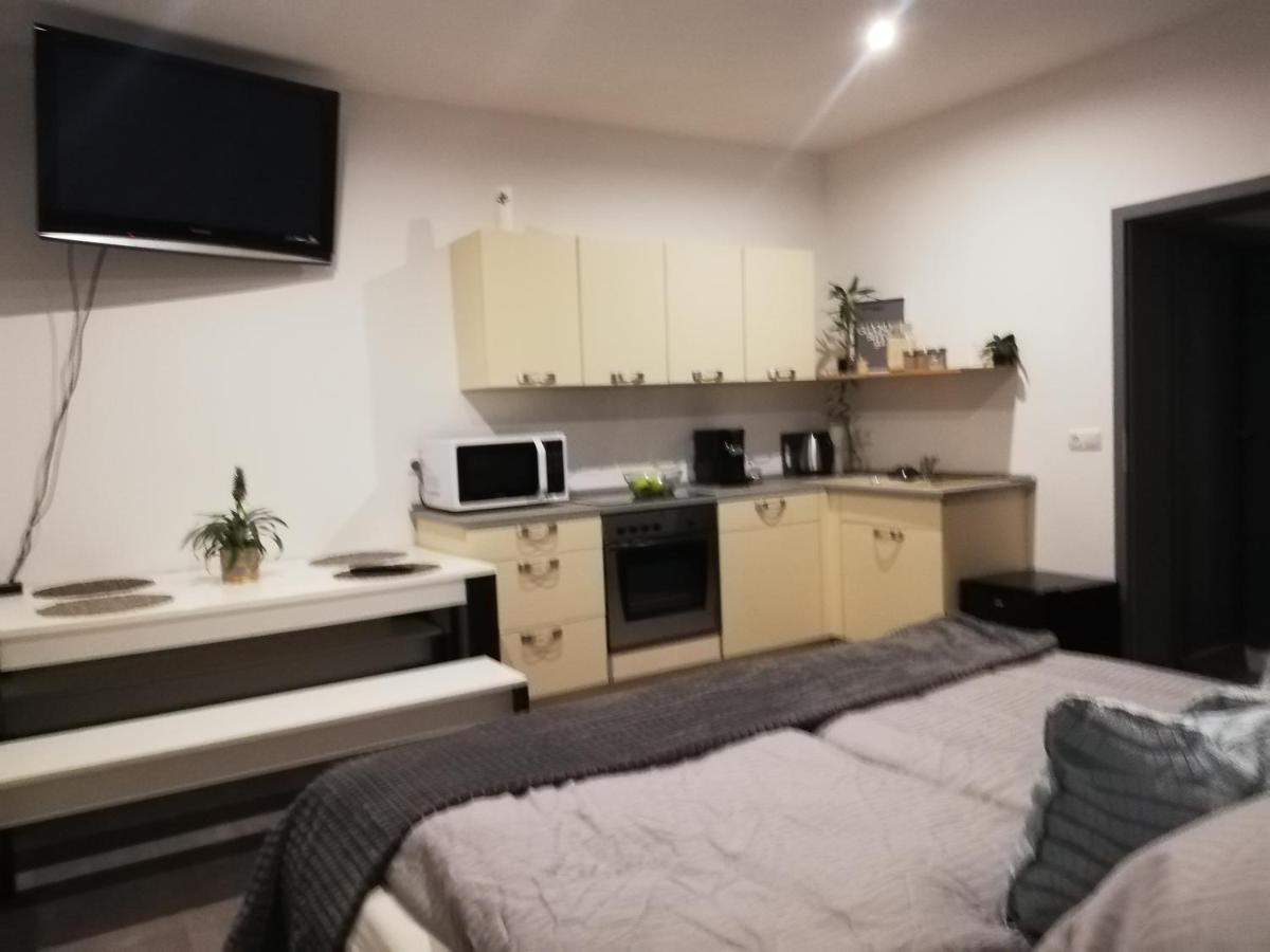 Ferienwohnung "Greizer Strasse 26" رايشنباخ إم فوغتلاند المظهر الخارجي الصورة